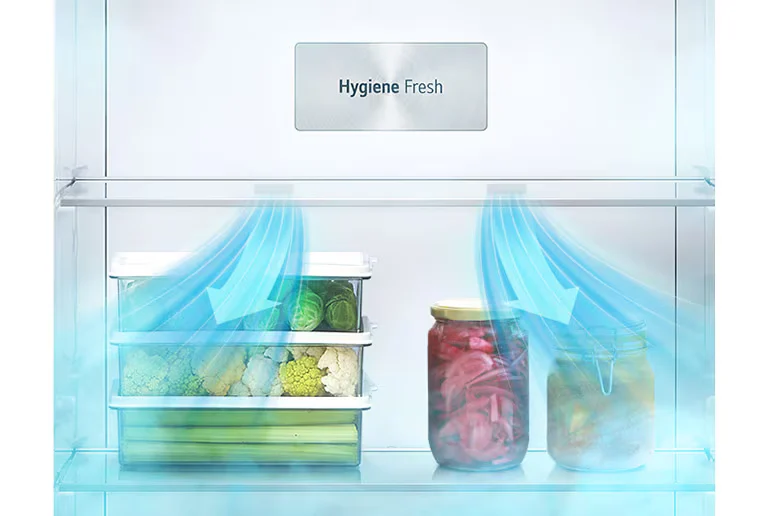 Hygiene Fresh LG Top Freezer 493L