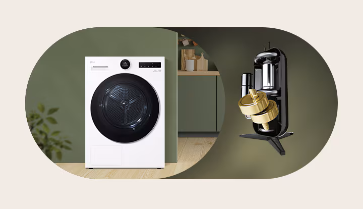 AI DUAL Inverter LG Dryer 10kg