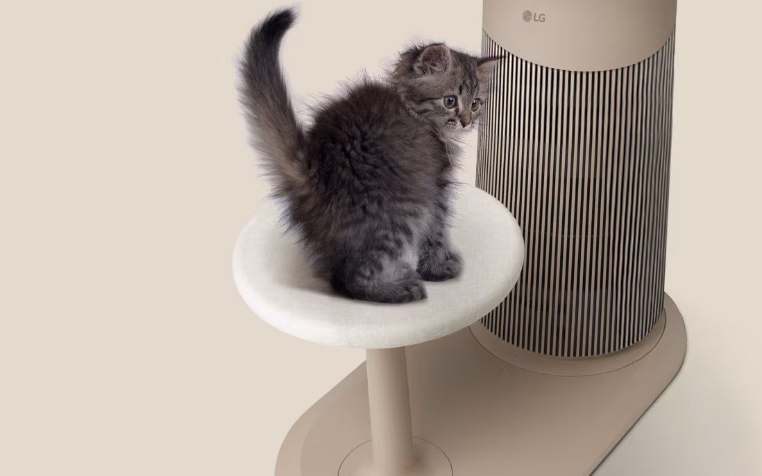 Step Platform LG PuriCare AeroCatTower