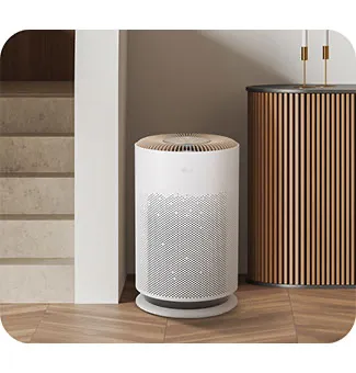 Compact in size LG PuriCare 360 HIT Brown