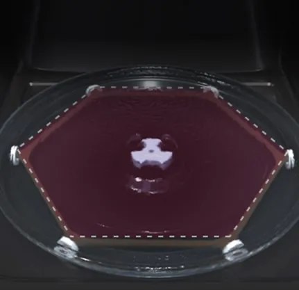 Stable turntable